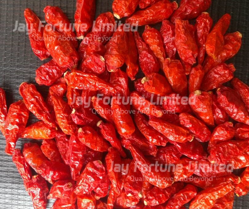 African Bird's Eye Chilli(ABE)| Peri Peri